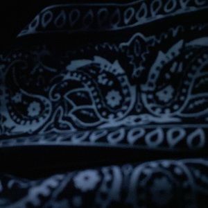 Meet your Posher, Trey